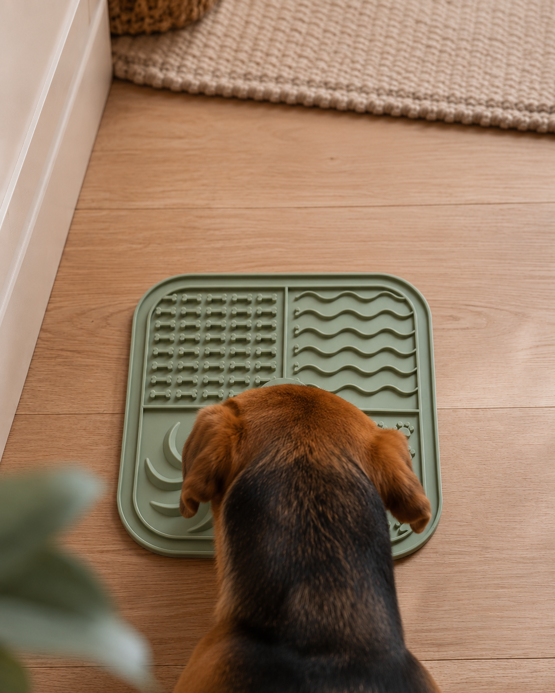 Slikkemåtte til Hund